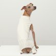 画像7: イタグレ服 S M L XL 2XL 3XL 無地コーデ ロンパース つなぎ 小型犬 中型犬 大型犬 春 夏 秋 冬 doggystar ドッギースター 5/21より発送 (7)
