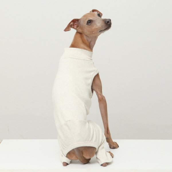 画像7: イタグレ服 S M L XL 2XL 3XL 無地コーデ ロンパース つなぎ 小型犬 中型犬 大型犬 春 夏 秋 冬 doggystar ドッギースター 即日発送出来ます (7)