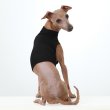 画像18: イタグレ服 S M L XL 2XL 3XL 接触冷感 クール ひんやり メッシュ クロップド 小型犬 中型犬 大型犬 夏 doggystar ドッギースター 即日発送できます (18)