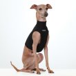 画像20: イタグレ服 S M L XL 2XL 3XL 接触冷感 クール ひんやり メッシュ クロップド 小型犬 中型犬 大型犬 夏 doggystar ドッギースター 即日発送できます (20)