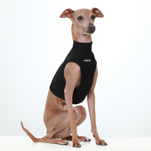 画像20: イタグレ服 S M L XL 2XL 3XL 接触冷感 メッシュ ひんやり クール クロップド 小型犬 中型犬 大型犬 夏 doggystar ドッギースター 即日発送できます (20)