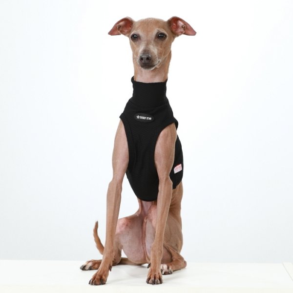 画像19: イタグレ服 S M L XL 2XL 3XL 接触冷感 メッシュ ひんやり クール クロップド 小型犬 中型犬 大型犬 夏 doggystar ドッギースター 即日発送できます (19)