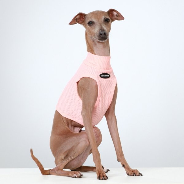 画像27: イタグレ服 S M L XL 2XL 3XL 接触冷感 メッシュ ひんやり クール クロップド 小型犬 中型犬 大型犬 夏 doggystar ドッギースター 即日発送できます (27)