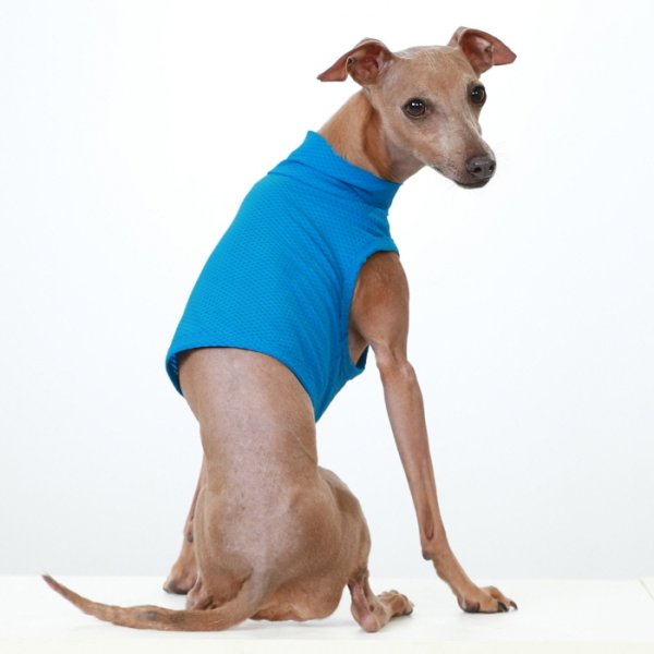 画像7: イタグレ服 S M L XL 2XL 3XL 接触冷感 メッシュ ひんやり クール クロップド 小型犬 中型犬 大型犬 夏 doggystar ドッギースター 即日発送できます (7)