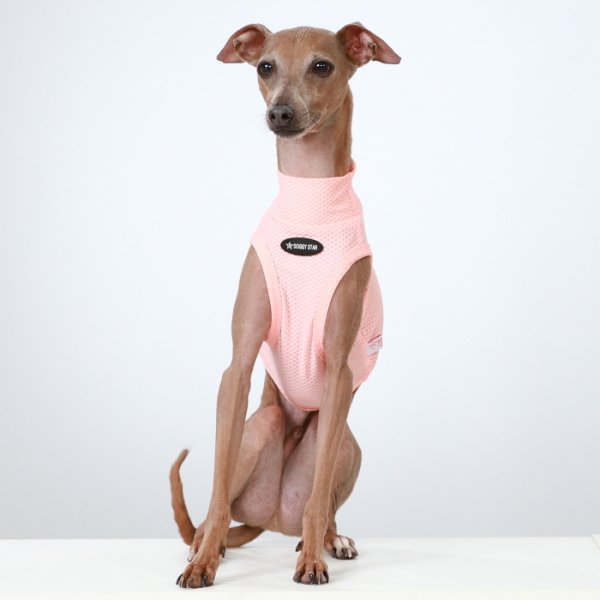 画像28: イタグレ服 S M L XL 2XL 3XL 接触冷感 メッシュ ひんやり クール クロップド 小型犬 中型犬 大型犬 夏 doggystar ドッギースター 即日発送できます (28)