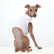 画像39: イタグレ服 S M L XL 2XL 3XL 接触冷感 クール ひんやり メッシュ クロップド 小型犬 中型犬 大型犬 夏 doggystar ドッギースター 即日発送できます (39)