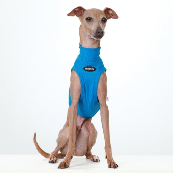 画像6: イタグレ服 S M L XL 2XL 3XL 接触冷感 メッシュ ひんやり クール クロップド 小型犬 中型犬 大型犬 夏 doggystar ドッギースター 即日発送できます (6)