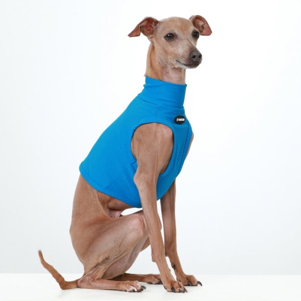 画像5: イタグレ服 S M L XL 2XL 3XL 接触冷感 メッシュ ひんやり クール クロップド 小型犬 中型犬 大型犬 夏 doggystar ドッギースター 即日発送できます (5)