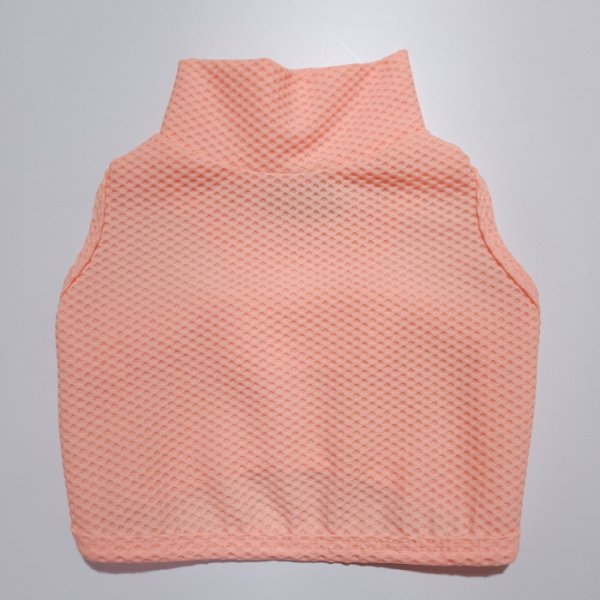 画像34: イタグレ服 S M L XL 2XL 3XL 接触冷感 メッシュ ひんやり クール クロップド 小型犬 中型犬 大型犬 夏 doggystar ドッギースター 即日発送できます (34)