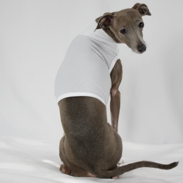 画像40: イタグレ服 S M L XL 2XL 3XL 接触冷感 メッシュ ひんやり クール クロップド 小型犬 中型犬 大型犬 夏 doggystar ドッギースター 即日発送できます (40)