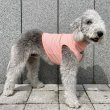 画像33: イタグレ服 S M L XL 2XL 3XL 接触冷感 クール ひんやり メッシュ クロップド 小型犬 中型犬 大型犬 夏 doggystar ドッギースター 即日発送できます (33)