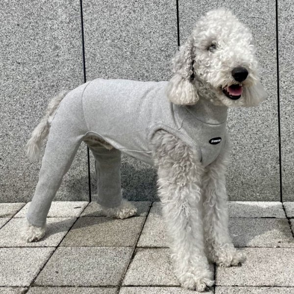 画像29: イタグレ服 S M L XL 2XL 3XL 無地コーデ ロンパース つなぎ 小型犬 中型犬 大型犬 春 夏 秋 冬 doggystar ドッギースター 即日発送出来ます (29)