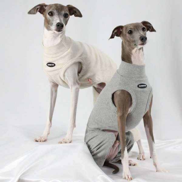 画像31: イタグレ服 S M L XL 2XL 3XL 無地コーデ ロンパース つなぎ 小型犬 中型犬 大型犬 春 夏 秋 冬 doggystar ドッギースター 即日発送出来ます (31)