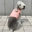 画像31: イタグレ服 S M L XL 2XL 3XL 接触冷感 クール ひんやり メッシュ クロップド 小型犬 中型犬 大型犬 夏 doggystar ドッギースター 即日発送できます (31)