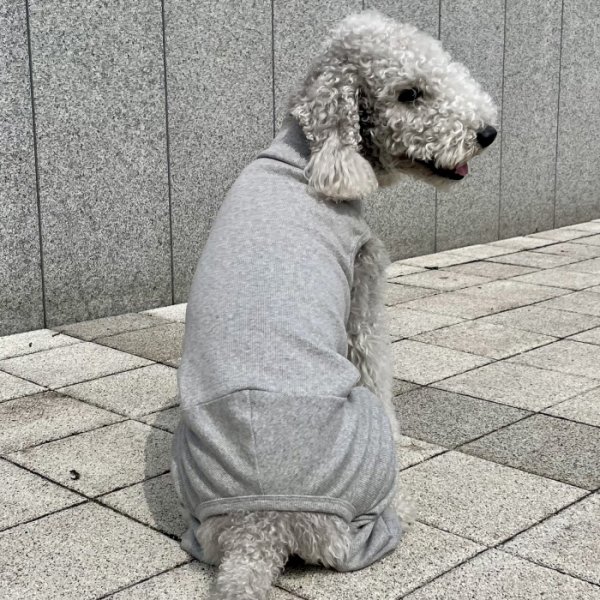画像30: イタグレ服 S M L XL 2XL 3XL 無地コーデ ロンパース つなぎ 小型犬 中型犬 大型犬 春 夏 秋 冬 doggystar ドッギースター 即日発送出来ます (30)