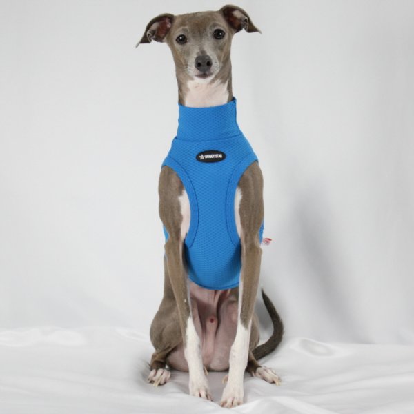 画像8: イタグレ服 S M L XL 2XL 3XL 接触冷感 メッシュ ひんやり クール クロップド 小型犬 中型犬 大型犬 夏 doggystar ドッギースター 即日発送できます (8)