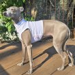 画像41: イタグレ服 S M L XL 2XL 3XL 接触冷感 クール ひんやり メッシュ クロップド 小型犬 中型犬 大型犬 夏 doggystar ドッギースター 即日発送できます (41)