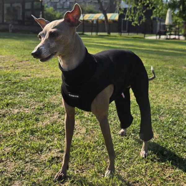 画像43: イタグレ服 S M L XL 2XL 3XL 無地コーデ ロンパース つなぎ 小型犬 中型犬 大型犬 春 夏 秋 冬 doggystar ドッギースター 即日発送出来ます (43)