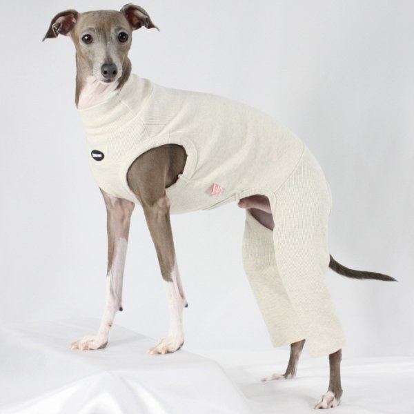 画像9: イタグレ服 S M L XL 2XL 3XL 無地コーデ ロンパース つなぎ 小型犬 中型犬 大型犬 春 夏 秋 冬 doggystar ドッギースター 即日発送出来ます (9)