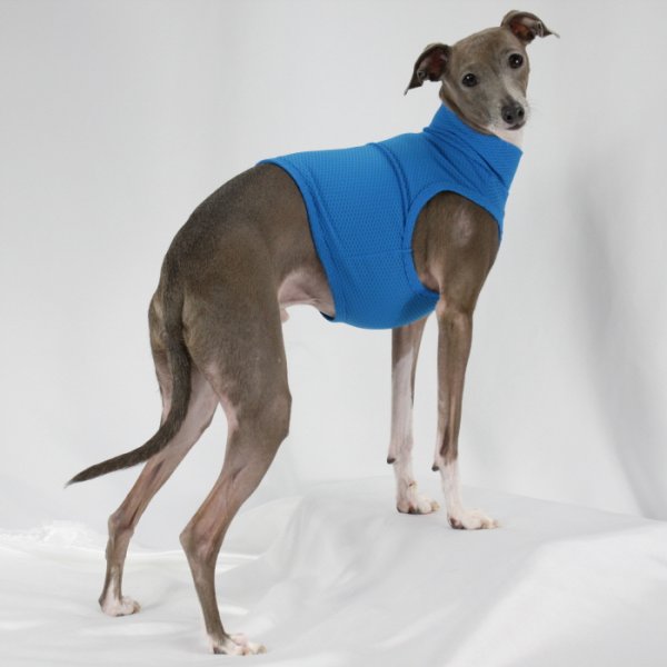 画像9: イタグレ服 S M L XL 2XL 3XL 接触冷感 メッシュ ひんやり クール クロップド 小型犬 中型犬 大型犬 夏 doggystar ドッギースター 即日発送できます (9)