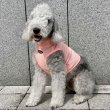 画像32: イタグレ服 S M L XL 2XL 3XL 接触冷感 クール ひんやり メッシュ クロップド 小型犬 中型犬 大型犬 夏 doggystar ドッギースター 即日発送できます (32)