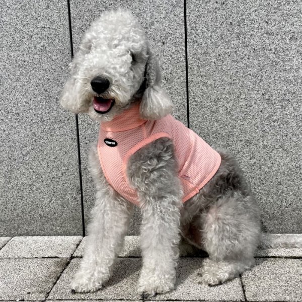 画像32: イタグレ服 S M L XL 2XL 3XL 接触冷感 メッシュ ひんやり クール クロップド 小型犬 中型犬 大型犬 夏 doggystar ドッギースター 即日発送できます (32)