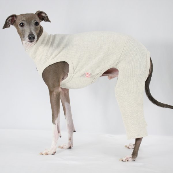 画像10: イタグレ服 S M L XL 2XL 3XL 無地コーデ ロンパース つなぎ 小型犬 中型犬 大型犬 春 夏 秋 冬 doggystar ドッギースター 即日発送出来ます (10)