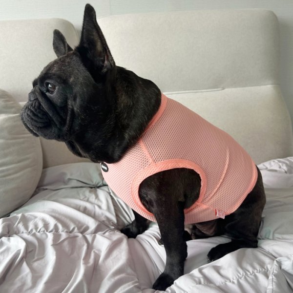 画像29: フレブル服  L XL 2XL 3XL 4XL 5XL  接触冷感 クール メッシュ クロップド タンクトップ ひんやり 中型犬 大型犬 フレンチブルドッグ パグ  夏 doggystar ドッギースター 即日発送できます (29)