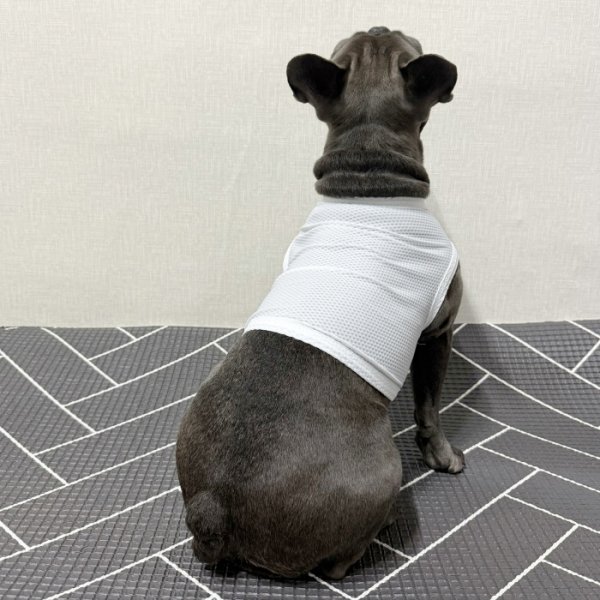 画像23: フレブル服  L XL 2XL 3XL 4XL 5XL  接触冷感 クール メッシュ クロップド タンクトップ ひんやり 中型犬 大型犬 フレンチブルドッグ パグ  夏 doggystar ドッギースター 即日発送できます (23)