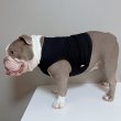 画像10: フレブル服  L XL 2XL 3XL 4XL 5XL  接触冷感 クール メッシュ クロップド タンクトップ ひんやり 中型犬 大型犬 フレンチブルドッグ パグ  夏 doggystar ドッギースター 6/10より発送 (10)