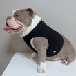 画像9: フレブル服  L XL 2XL 3XL 4XL 5XL  接触冷感 クール メッシュ クロップド タンクトップ ひんやり 中型犬 大型犬 フレンチブルドッグ パグ  夏 doggystar ドッギースター 6/10より発送 (9)