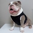 画像8: フレブル服  L XL 2XL 3XL 4XL 5XL  接触冷感 クール メッシュ クロップド タンクトップ ひんやり 中型犬 大型犬 フレンチブルドッグ パグ  夏 doggystar ドッギースター 6/10より発送 (8)