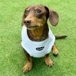 画像11: ダックス服 S M L XL  接触冷感 クール クロップド タンクトップ ひんやり 小型犬 中型犬 ダックスフンド  夏 doggystar ドッギースター 即日発送出来ます (11)
