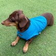 画像27: ダックス服 S M L XL  接触冷感 クール クロップド タンクトップ ひんやり 小型犬 中型犬 ダックスフンド  夏 doggystar ドッギースター 即日発送出来ます (27)