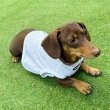 画像12: ダックス服 S M L XL  接触冷感 クール クロップド タンクトップ ひんやり 小型犬 中型犬 ダックスフンド  夏 doggystar ドッギースター 即日発送出来ます (12)