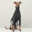 画像16: イタグレ服 S M L XL 2XL 3XL ヒョウ柄 ロンパース つなぎ レオパードゆったり ジョガーパンツ 小型犬 中型犬 大型犬 春夏 doggystar ドッギースター 6/24より発送 (16)