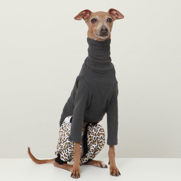 画像17: イタグレ服 S M L XL 2XL 3XL ヒョウ柄 ロンパース つなぎ レオパードゆったり ジョガーパンツ 小型犬 中型犬 大型犬 春夏 doggystar ドッギースター 即日発送できます (17)