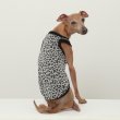 画像21: イタグレ服 S M L XL 2XL 3XL ヒョウ柄 タンクトップ Tシャツ レオパード 小型犬 中型犬 大型犬 春 夏服 doggystar ドッギースター 6/24より発送 (21)