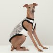 画像10: イタグレ服 S M L XL 2XL 3XL ヒョウ柄 タンクトップ Tシャツ レオパード 小型犬 中型犬 大型犬 春 夏服 doggystar ドッギースター 6/24より発送 (10)