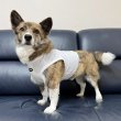 画像24: コーギー服 2XL 3XL 4XL 5XL  接触冷感 クール メッシュ  クロップド タンクトップ ひんやり 中型犬 大型犬  夏 doggystar ドッギースター 即日発送出来ます (24)