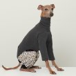 画像14: イタグレ服 S M L XL 2XL 3XL ヒョウ柄 ロンパース つなぎ レオパードゆったり ジョガーパンツ 小型犬 中型犬 大型犬 春夏 doggystar ドッギースター 6/24より発送 (14)