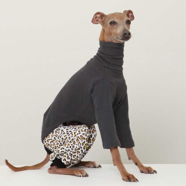 画像15: イタグレ服 S M L XL 2XL 3XL ヒョウ柄 ロンパース つなぎ レオパードゆったり ジョガーパンツ 小型犬 中型犬 大型犬 春夏 doggystar ドッギースター 即日発送できます (15)