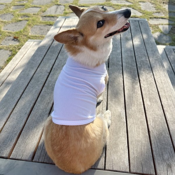 画像27: コーギー服 2XL 3XL 4XL 5XL  接触冷感 クール メッシュ  クロップド タンクトップ ひんやり 中型犬 大型犬  夏 doggystar ドッギースター 即日発送出来ます (27)