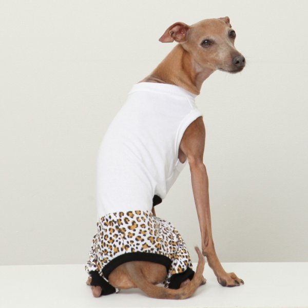 画像13: イタグレ服 S M L XL 2XL 3XL ヒョウ柄 ロンパース つなぎ レオパードゆったり ジョガーパンツ 小型犬 中型犬 大型犬 春夏 doggystar ドッギースター 即日発送できます (13)