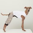 画像1: イタグレ服 S M L XL 2XL 3XL ヒョウ柄 ロンパース つなぎ レオパードゆったり ジョガーパンツ 小型犬 中型犬 大型犬 春夏 doggystar ドッギースター 6/24より発送 (1)