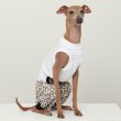 画像10: イタグレ服 S M L XL 2XL 3XL ヒョウ柄 ロンパース つなぎ レオパードゆったり ジョガーパンツ 小型犬 中型犬 大型犬 春夏 doggystar ドッギースター 6/24より発送 (10)