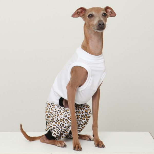 画像11: イタグレ服 S M L XL 2XL 3XL ヒョウ柄 ロンパース つなぎ レオパードゆったり ジョガーパンツ 小型犬 中型犬 大型犬 春夏 doggystar ドッギースター 即日発送できます (11)