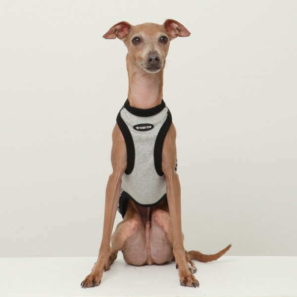 画像21: イタグレ服 S M L XL 2XL 3XL ヒョウ柄 タンクトップ Tシャツ レオパード 小型犬 中型犬 大型犬 春 夏服 doggystar ドッギースター 即日発送できます (21)
