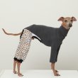 画像13: イタグレ服 S M L XL 2XL 3XL ヒョウ柄 ロンパース つなぎ レオパードゆったり ジョガーパンツ 小型犬 中型犬 大型犬 春夏 doggystar ドッギースター 6/24より発送 (13)