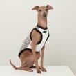 画像9: イタグレ服 S M L XL 2XL 3XL ヒョウ柄 タンクトップ Tシャツ レオパード 小型犬 中型犬 大型犬 春 夏服 doggystar ドッギースター 6/24より発送 (9)